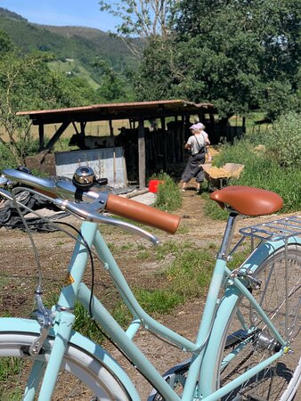 Bicis Del Pas-Puente Viesgo必去景点