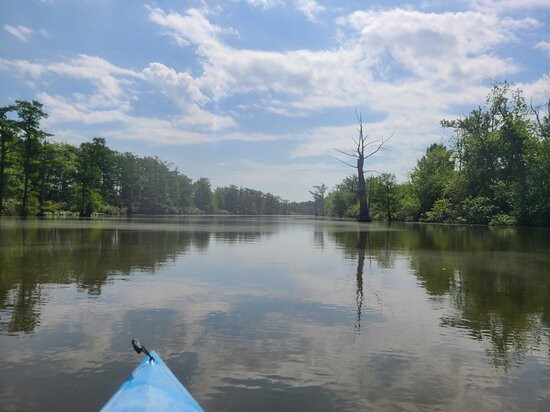 Cache River State Natural Area景点图片