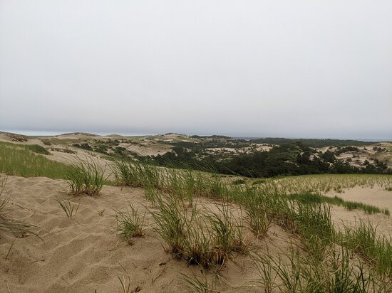 Dune Shacks Trail景点图片