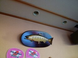 Gyozantei Yamabuki主图