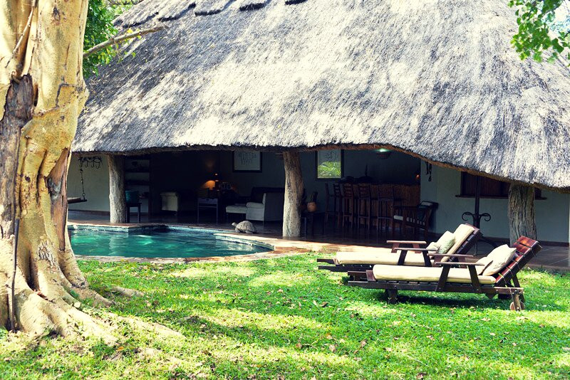 Chishakwe Safaris