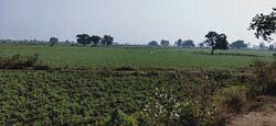 Shrimant Bajirao Peshwa Samadhi景点图片