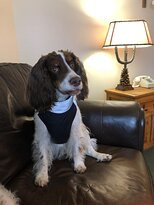 Alpine Village Suites主图