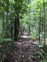 Mount Baldy- 阿瑟顿必去景点