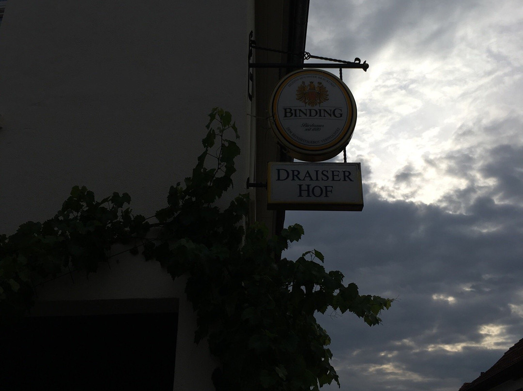 Pension Draiser Hof主图