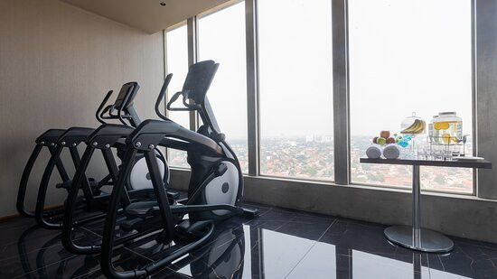 Swissôtel Santa Cruz de la Sierra主图