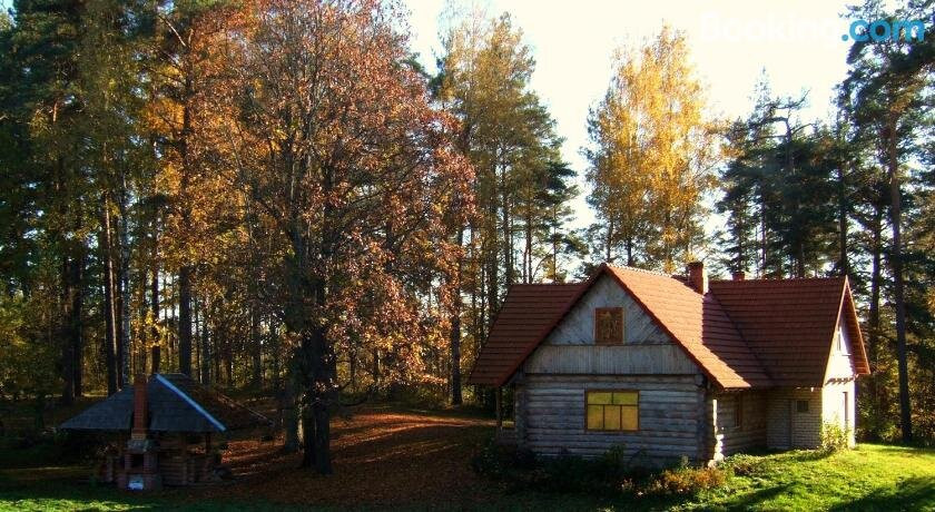 Jani