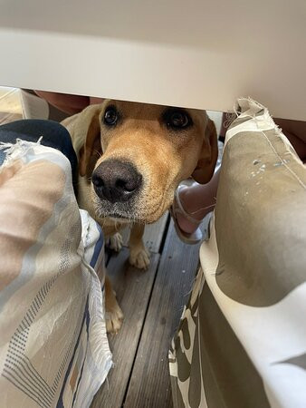 代德马蒂尼亚酒店主图