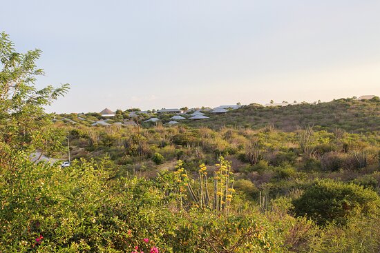 Home Sweet Home Mini Resort Curacao-酒店景观