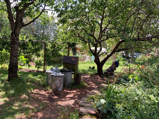 Windmill Hill City Farm-布里斯托尔必去景点