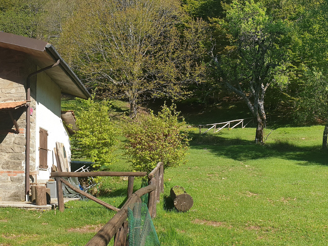 Rifugio Il Faggione Delle Valli景点图片