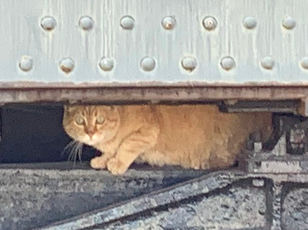 National New York Central Railroad Museum-埃尔克哈特必去景点