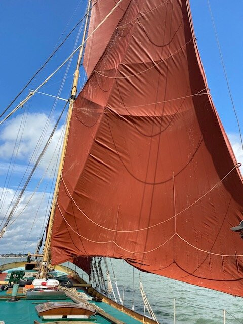 Topsail Charters - Day Tours景点图片