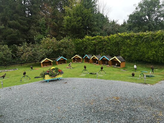 Falconry Ireland-Arklow必去景点