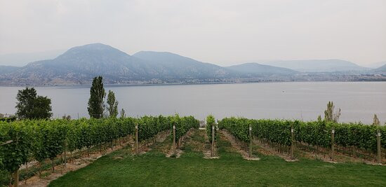 Bench 1775 Winery景点图片