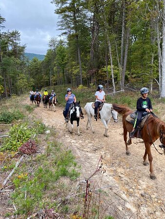 Appalachian Horse Adventures景点图片