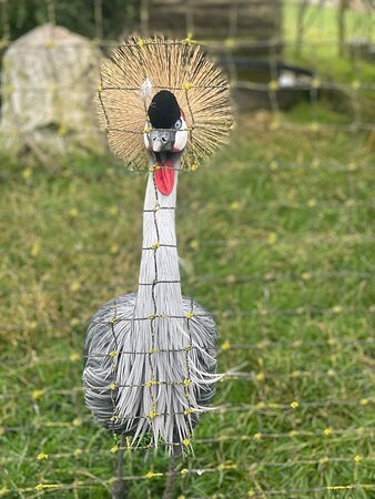 Ardmore Open Farm & Mini Zoo-Ardmore必去景点