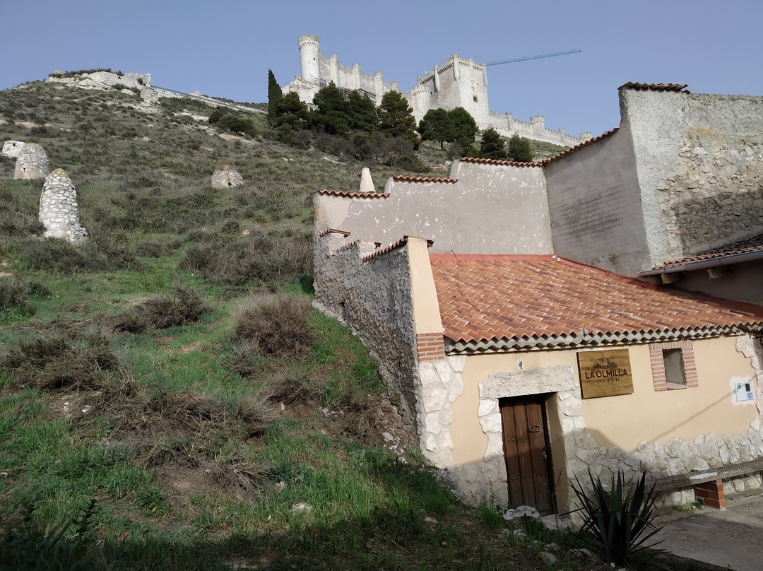 Bodega La Olmilla景点图片