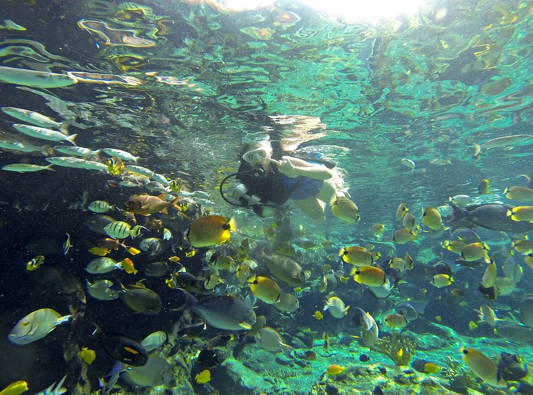 Rainbow Reef