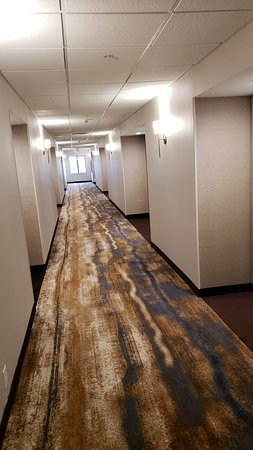 马里昂希尔顿恒庭酒店主图