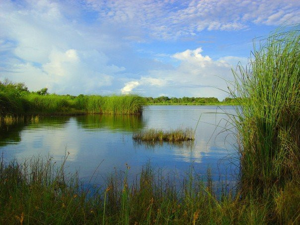 Dhadimagi Kilhi ( Lake)景点图片