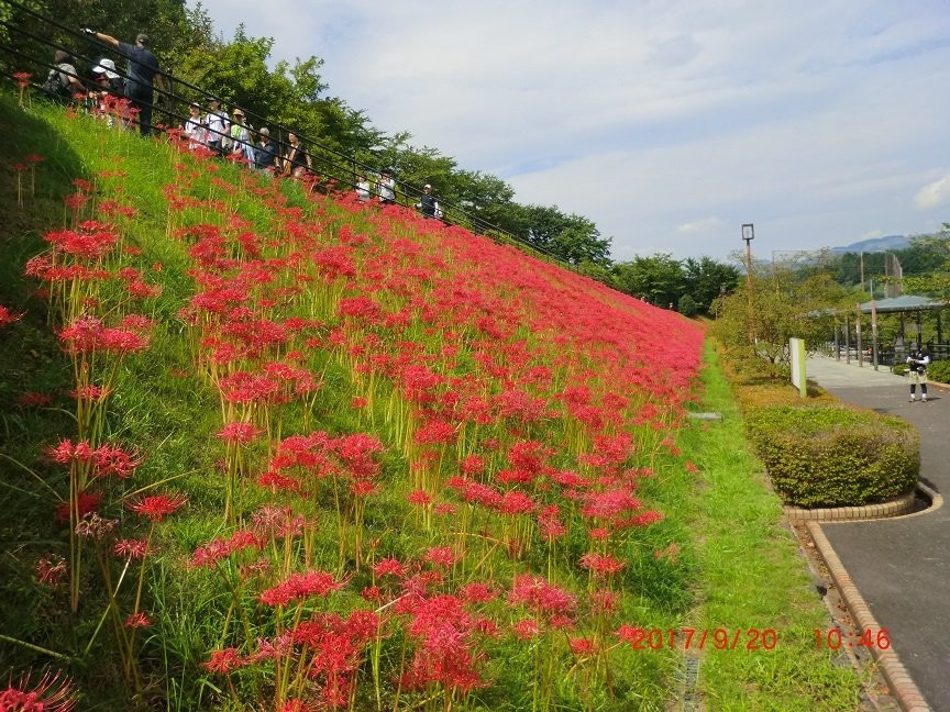 Minamiashigara Sports Park景点图片