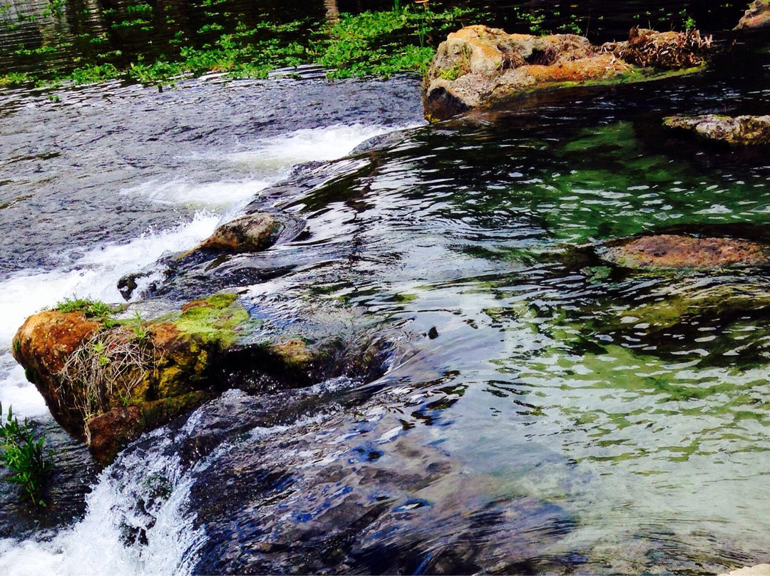 De Leon Springs State Park景点图片