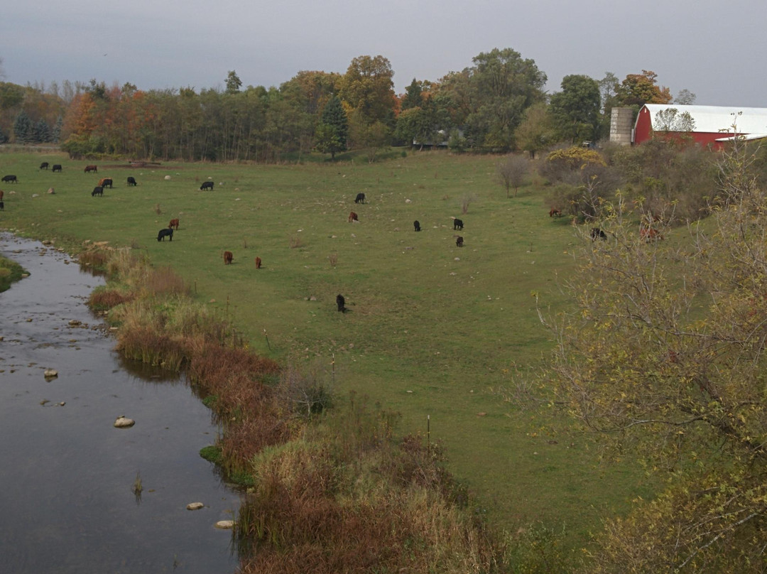 Macomb Orchard Trail-Richmond必去景点