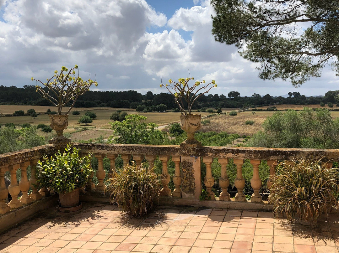 Sant Joan旅游攻略图片