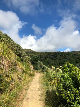 Mercer Bay Loop-皮哈海滩必去景点