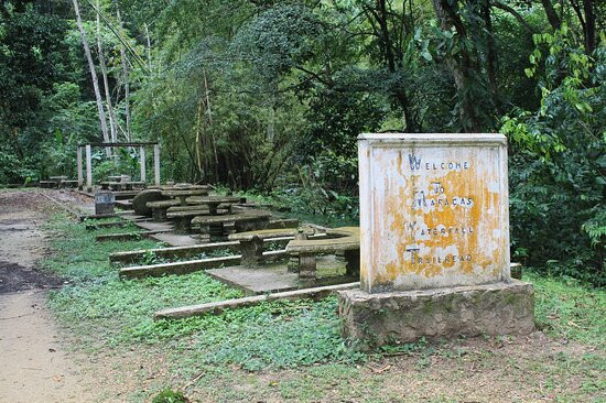 Maracas Falls-西班牙港必去景点