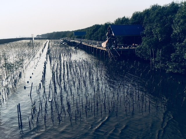 北揽旅游景点-Bangpu Nature Education Center
