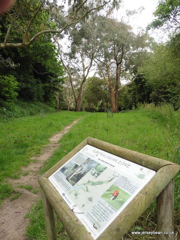 St. Peter旅游景点-The Forgotten Forest Arboretum
