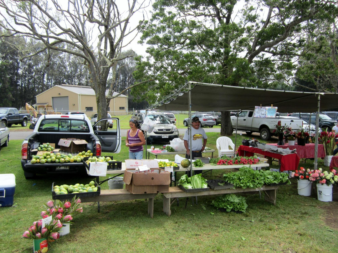 Waimea Homestead Farmers Market景点图片