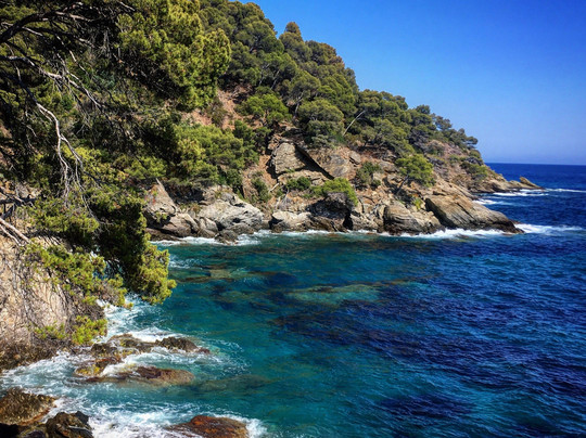 Rayol-Canadel-sur-Mer旅游攻略图片