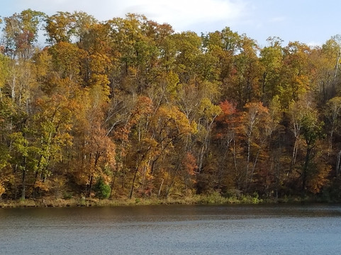 Pillsbury State Forest