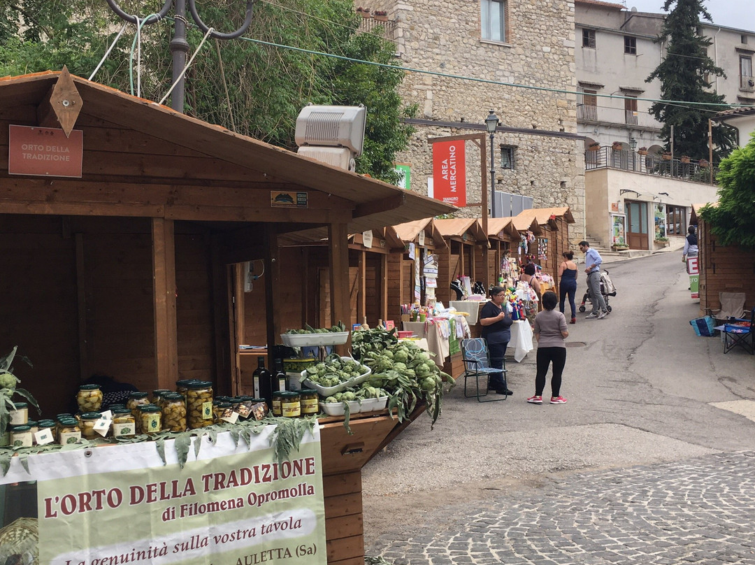 Auletta旅游攻略图片