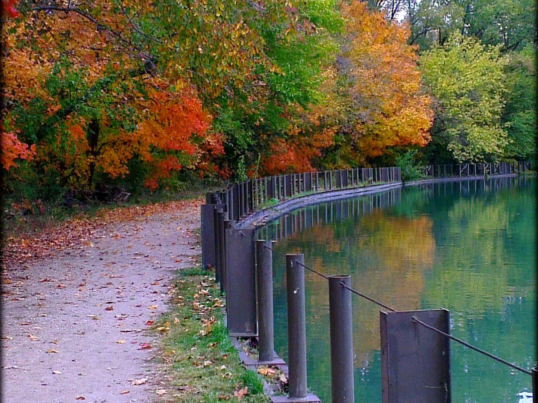 Yorkville旅游攻略图片