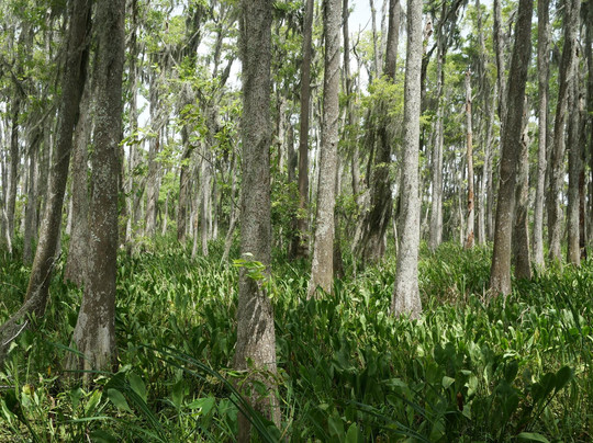 Vinton旅游攻略图片