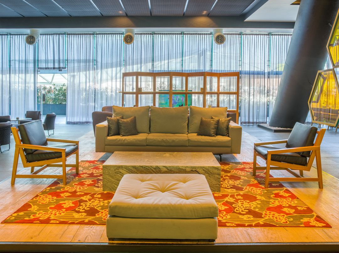 Fiesta Americana Mexico Satelite主图