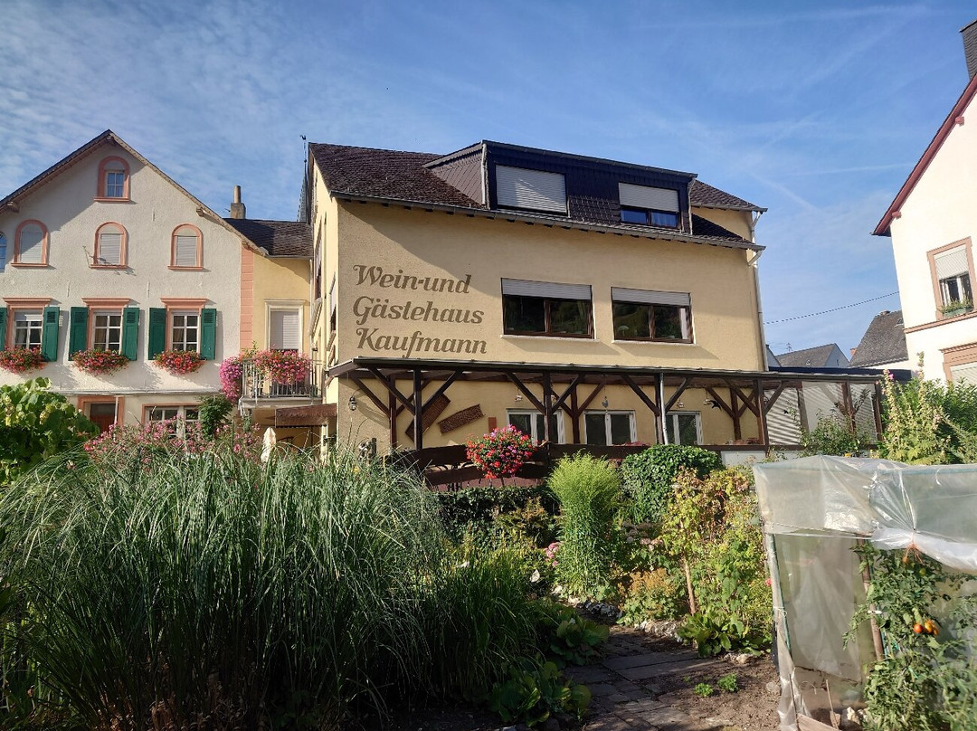 Weingut & Gästehaus Kaufmann-Schneider