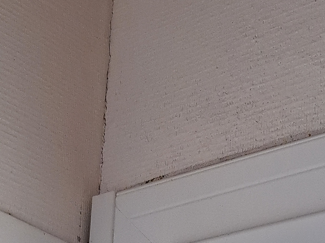 绿橡树酒店主图