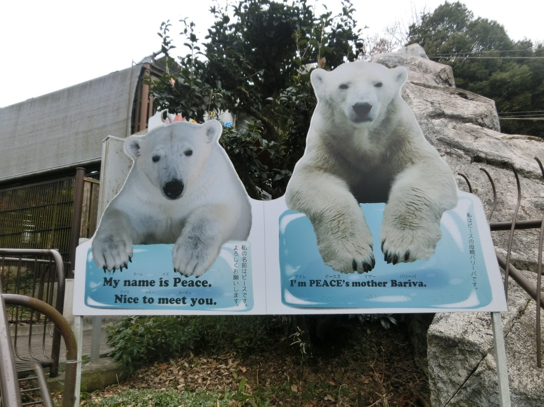 Tobe Zoological Park of Ehime Prefecture景点图片