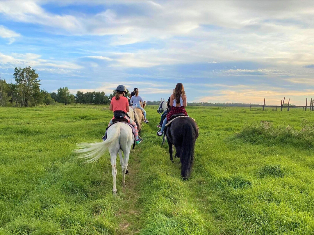 Thunder Ridge Trails Ranch-德文郡必去景点