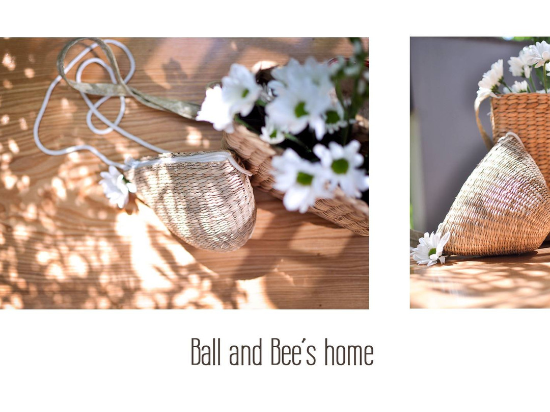 An Hai Bac旅游景点-Ball and Bee’s Home