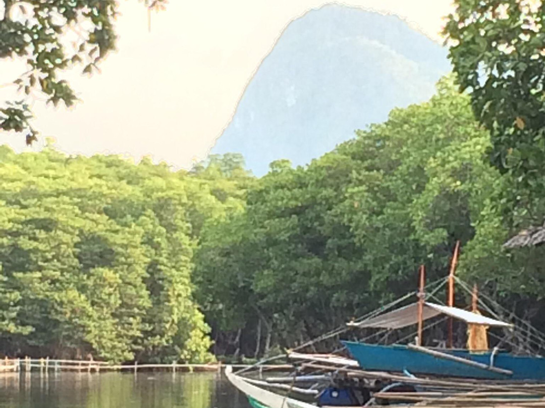 Mystic Mangrove Adventure-爱妮岛必去景点