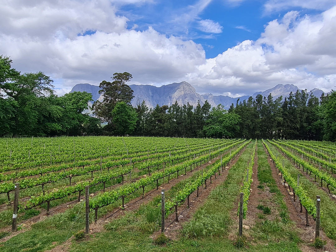 TASTE 4 TRAVEL TOURS