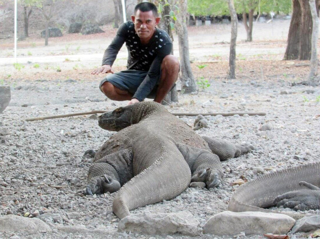 Gili Trips-Pemenang必去景点