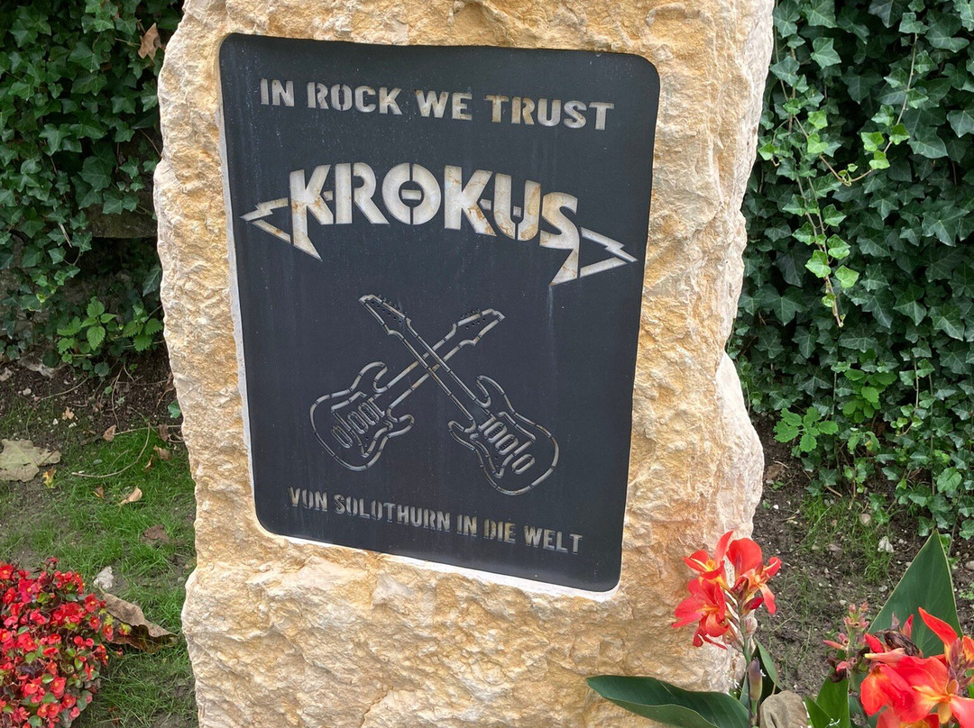 Krokus Ehrenstein
