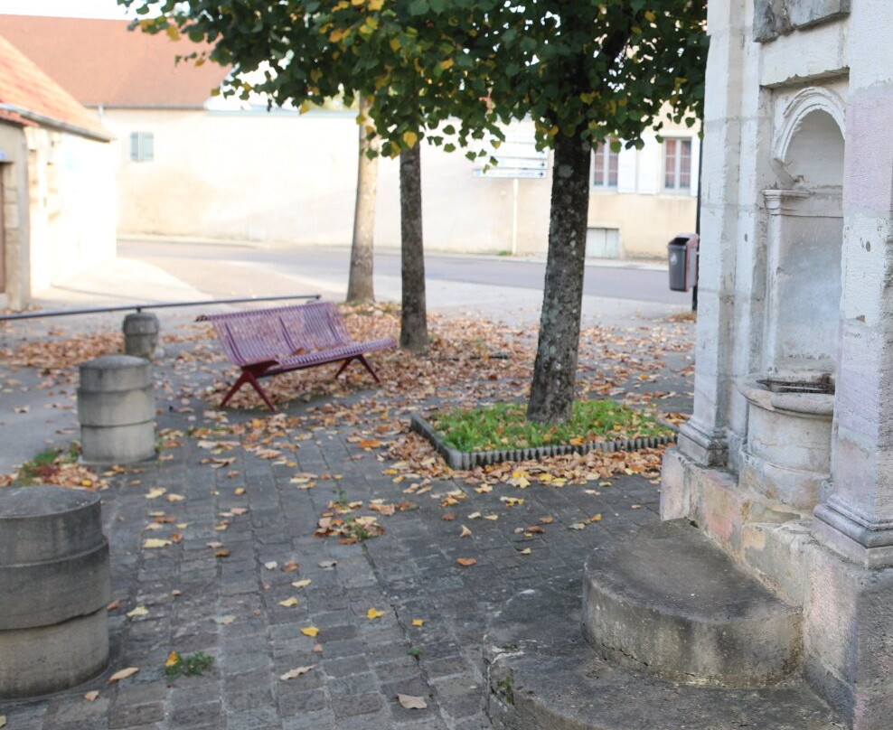 Fontaine Du Dauphin景点图片